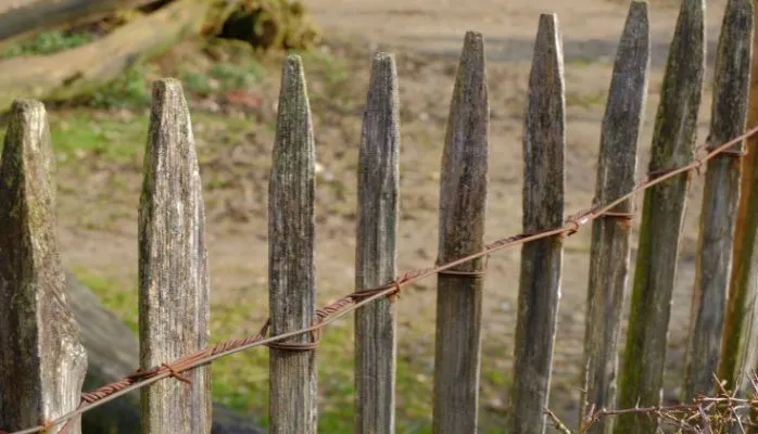 Comment se déroule le bornage d'un terrain ?